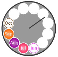 Seasonality clock