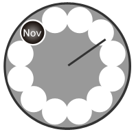 Seasonality clock